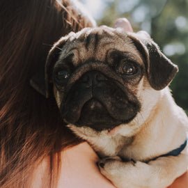 10 Must-Have Shirts for Pug Moms: Stylish, Fun, and Pug-tastic!