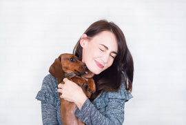 Human and dog adult ages