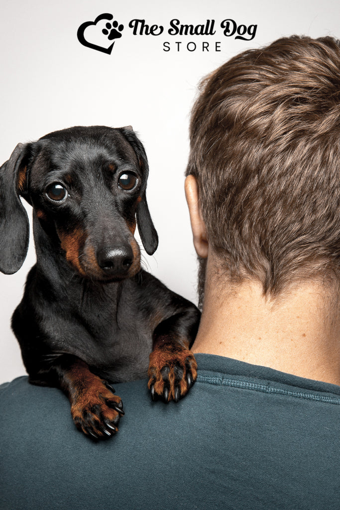 Top 10 Must-Have Shirts for Every Proud Dachshund Dad