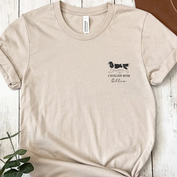 BC 3001 PERSONALIZED - HETAHER DUST