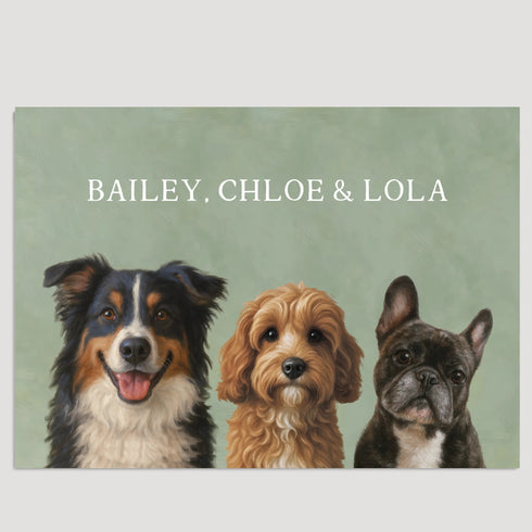 20x28 POSTER HORIZONTAL