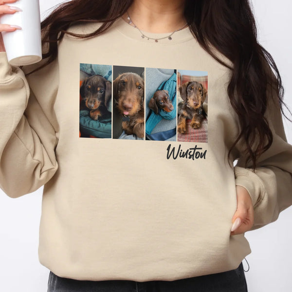 Custom pet sweatshirts pet photo SAND