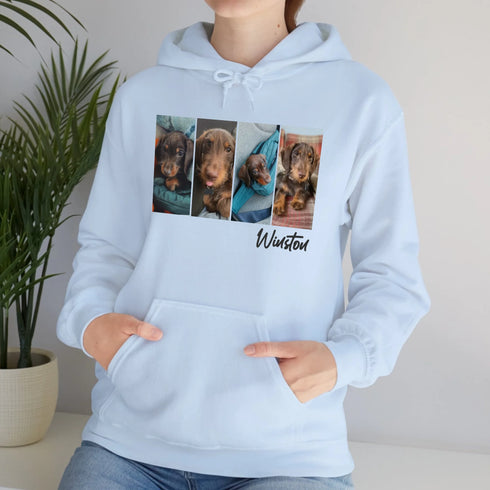Custom pet hoodie for women pet picture blue