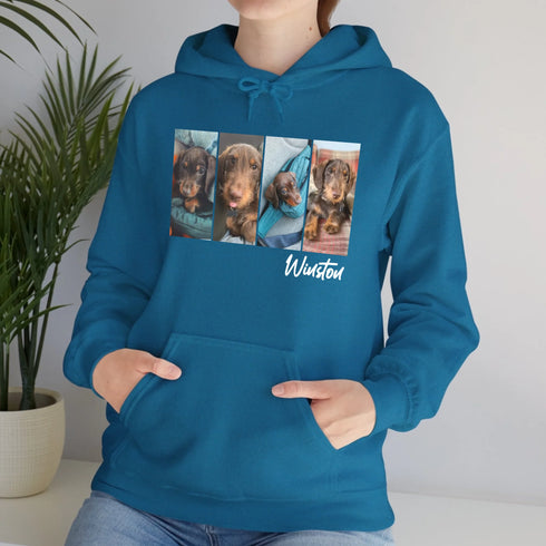 Custom pet hoodie for women pet picture blue