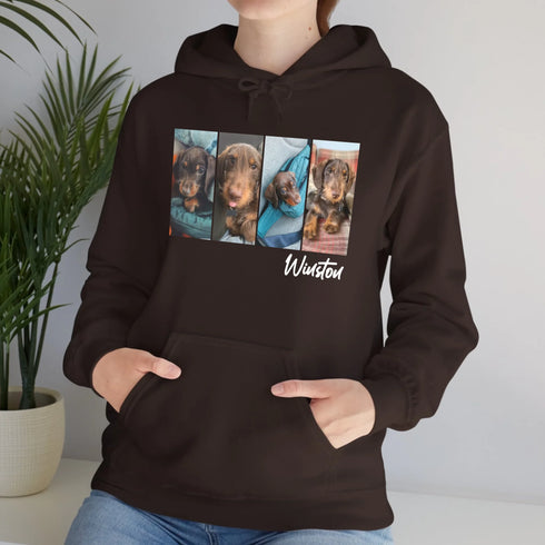 Custom pet hoodie for women pet picture brown
