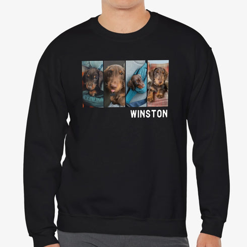 Custom Pet picture sweatshirt for men black