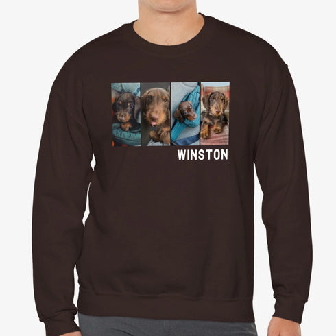 Custom Pet picture sweatshirt for men brown