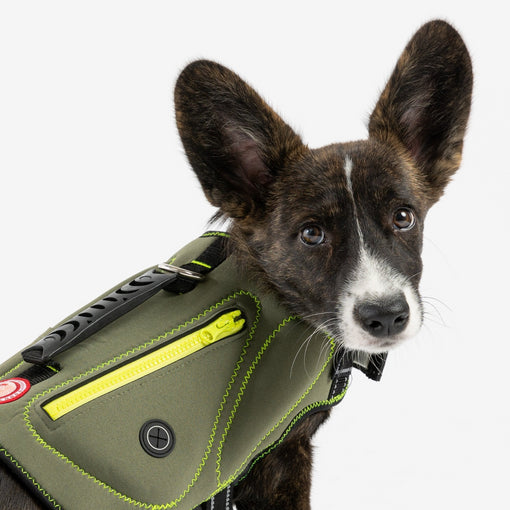 Neoprene Dog Life Jacket - Khaki