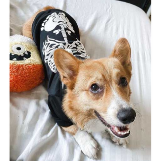 Funny Skeleton Costume for Dogs