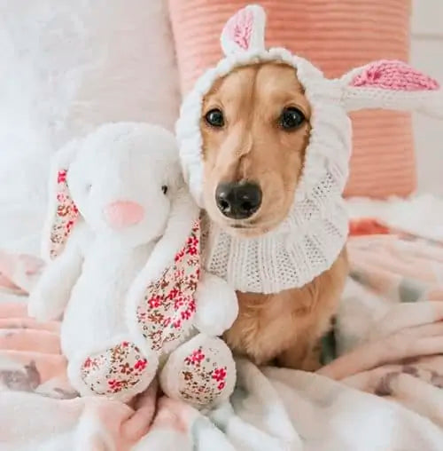 Zoo Snoods Bunny Costume for Dogs