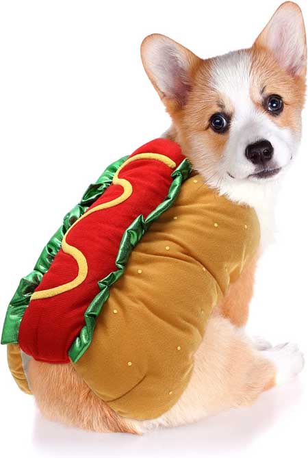 POPETPOP Hot Dog Design Pet Costume