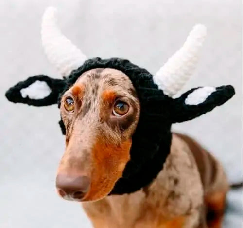 Zoo Snoods Bull Dog Costume