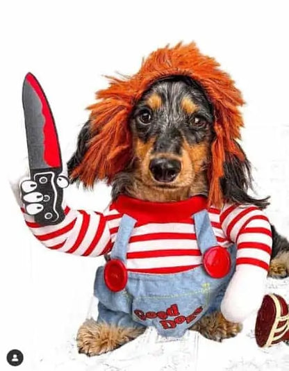 Deadly Doll Dog Costume Small