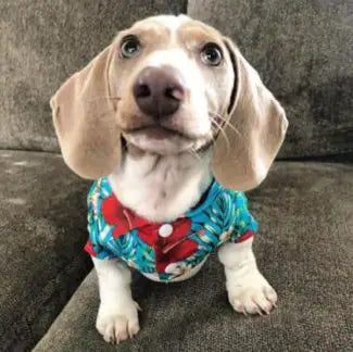 United Pups Hawaiian Shirt for Dogs