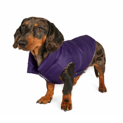 DJANGO Puffer Dog Jacket and Reversible Cold Weather Dog Coat