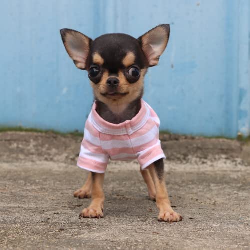 LOPHIPETS Dog T-Shirt for Chihuahuas