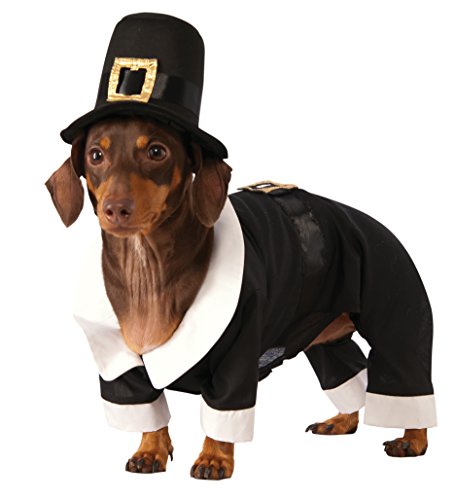 Rubie's Pilgrim Boy Dog Costume