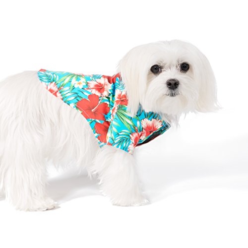 United Pups Hawaiian Shirt for Dogs