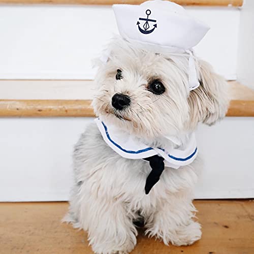 Enjoying Dog Sailor Costume