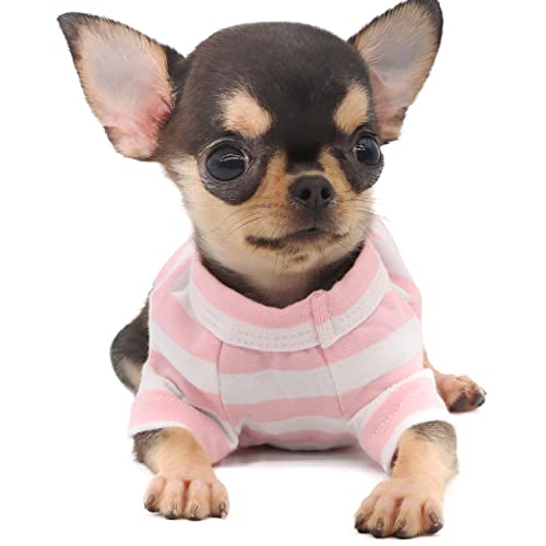 LOPHIPETS Dog T-Shirt for Chihuahuas