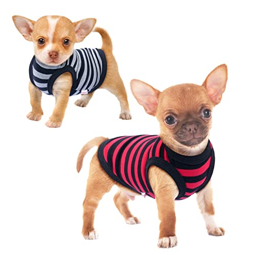 Frienperro Dog Shirt for Small Dogs