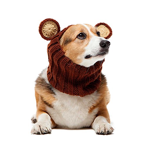 Zoo Snoods Grizzly Bear Costume for Dogs