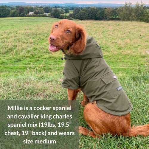 DJANGO Highland Dog Jacket and Raincoat