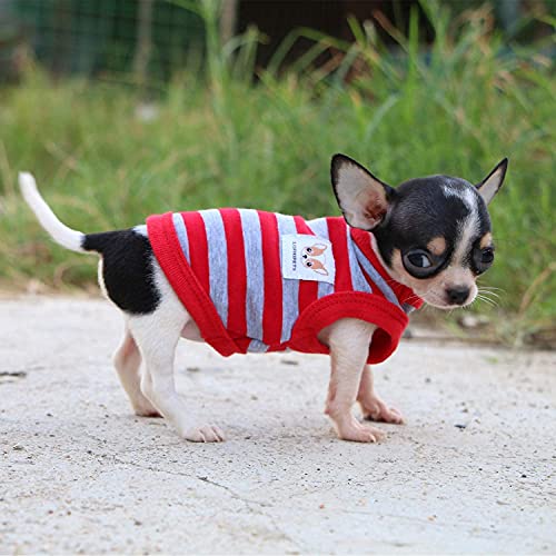 LOPHIPETS Striped Dog Shirts