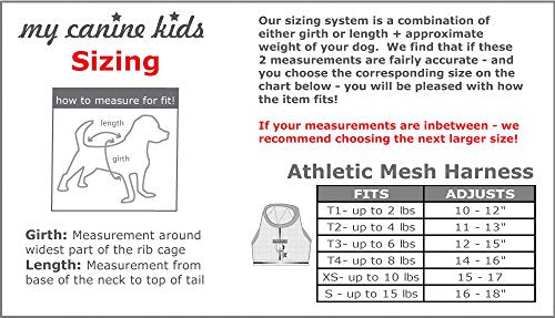 Athletic Mesh Dog Vest Harness