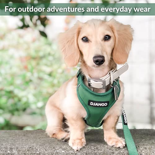 DJANGO Adventure Dog Harness