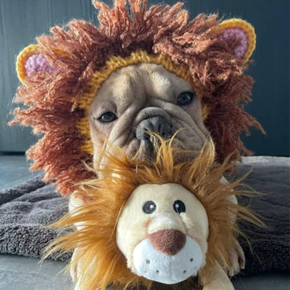 Zoo Snoods Lion Mane Costume for Dogs