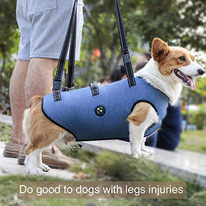 Coodeo Dog Lift Harness, Pet Support & Rehabilitation Sling Lift Adjustable Padded Breathable Straps for Old, Disabled, Joint Injuries, Arthritis, Loss of Stability Dogs Walk (Blue, S)